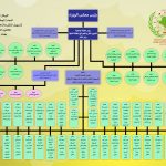 الهيكل تنظيمي للجنة الوطنية العراقية لتسهيل النقل والتجارة في منطقة الاسكوا